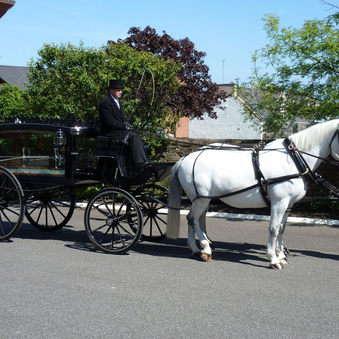 Horsedrawn Carriage