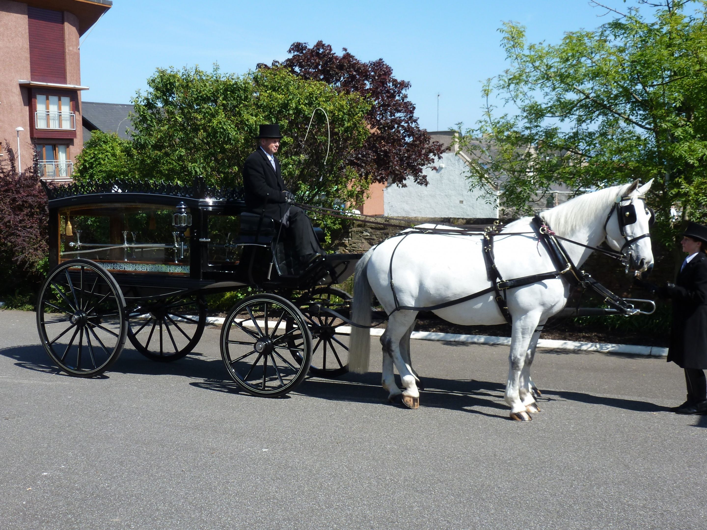 Horsedrawn Carriage
